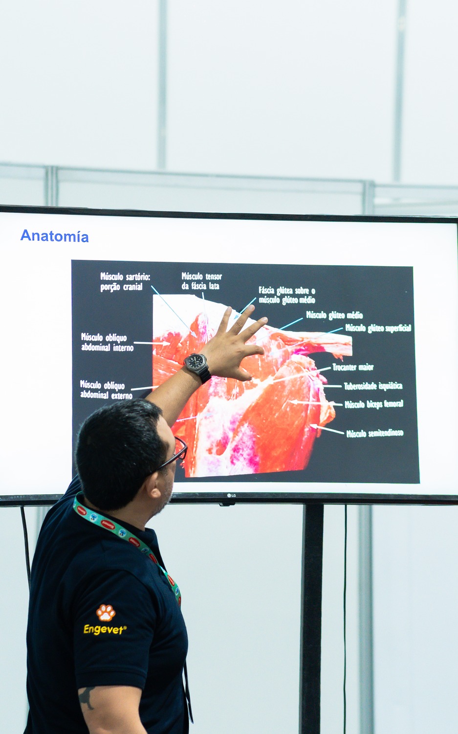 Latin American Veterinary Conference (LAVC) 2026