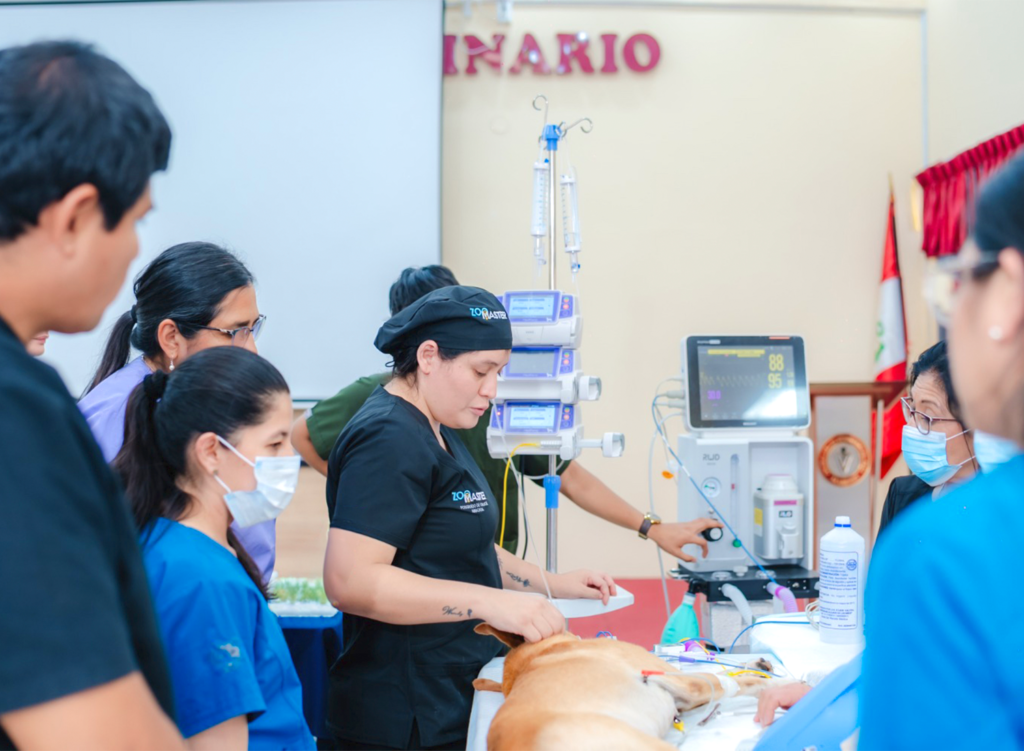 Workshop de Anestesia Tiva e Inhalatoria